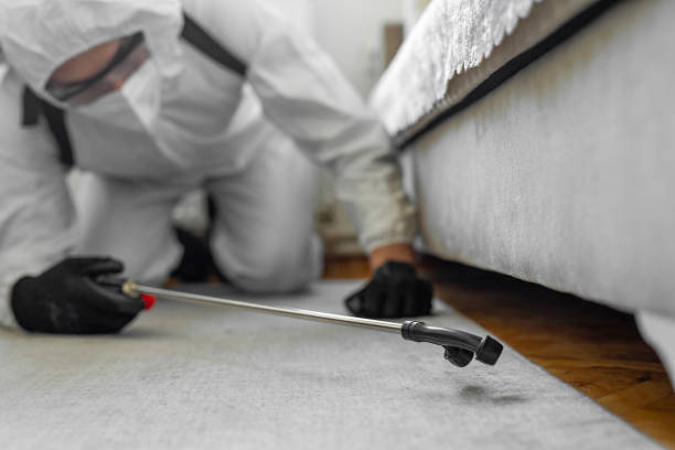 Professional Pest Control technician working in Clinton County County, KY